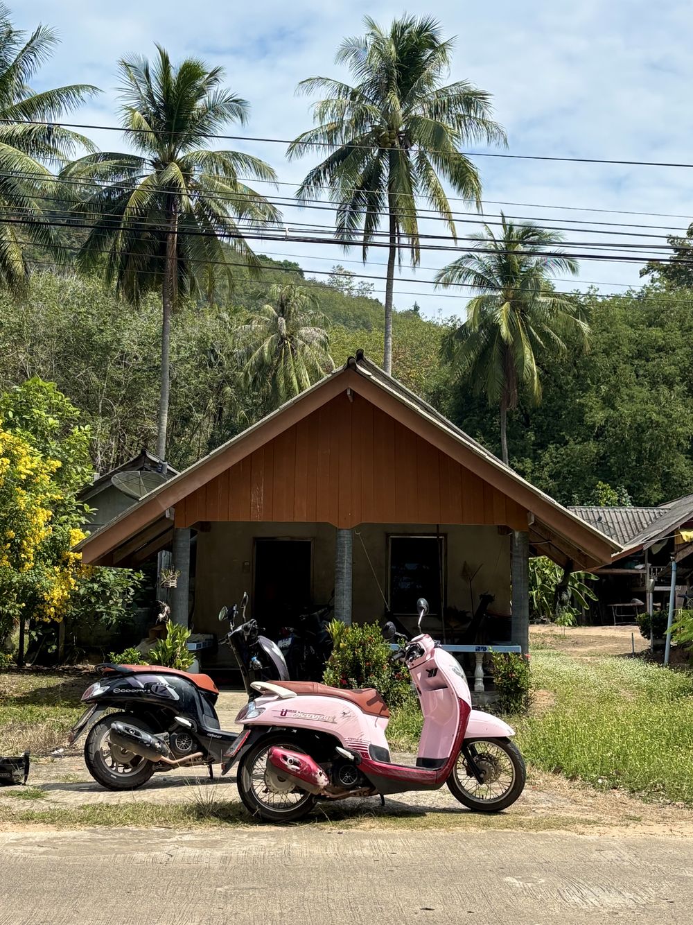 Pink and black scooters parked in front of a wooden house with palm trees behind